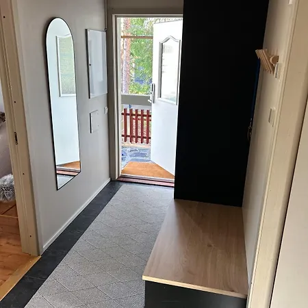 Levin Gemini Киттиля